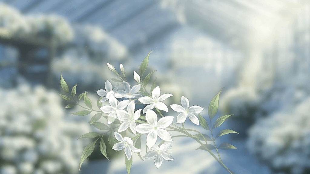 【Live2D Accessories】White Flowers