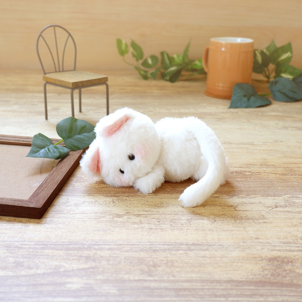 おすわり猫さん