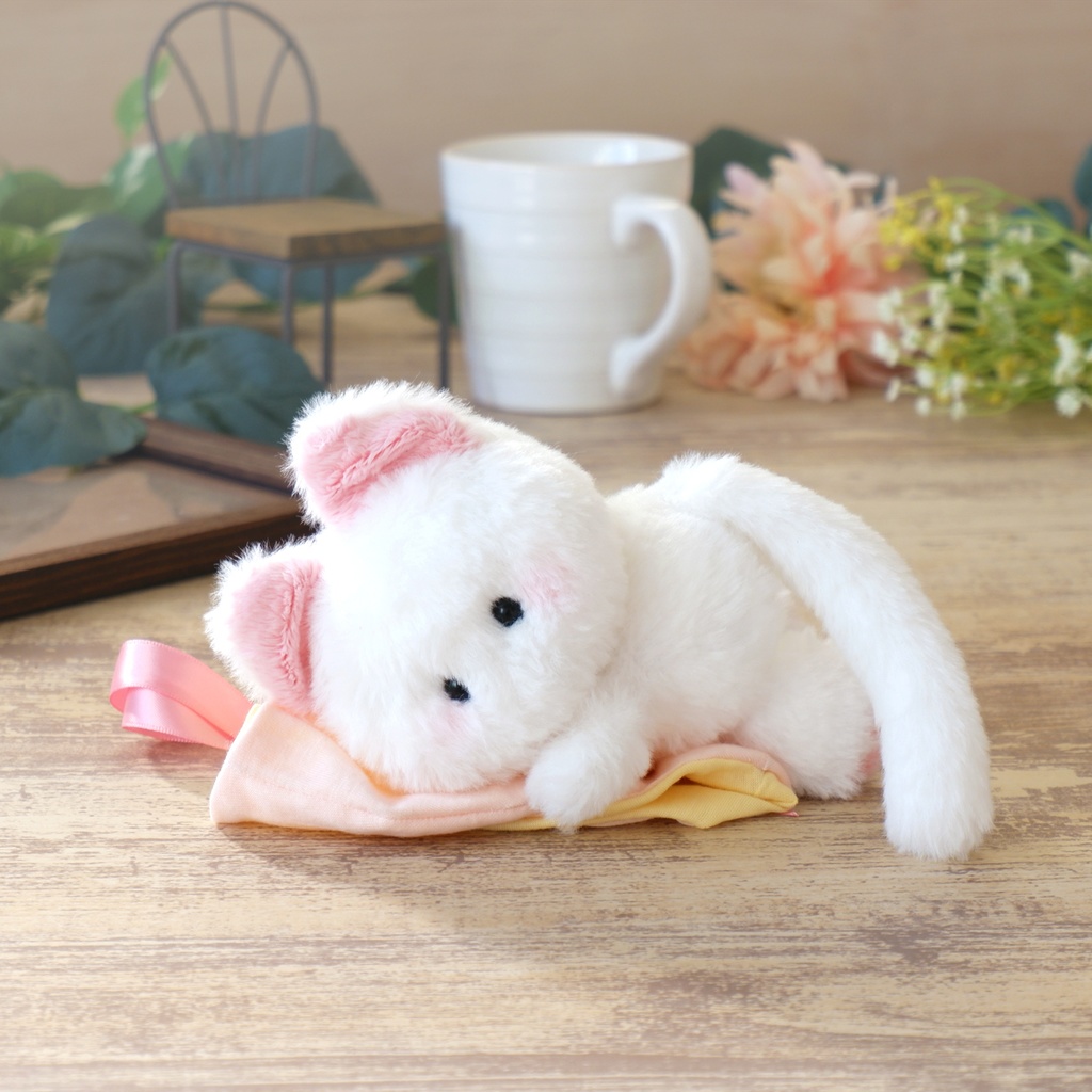 おすわり猫さん★お家決まりました