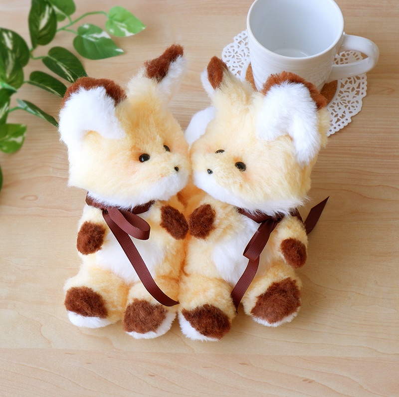 やんちゃきつねさん