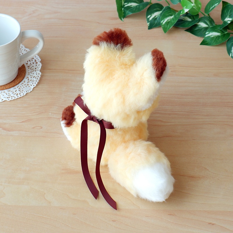 やんちゃきつねさん