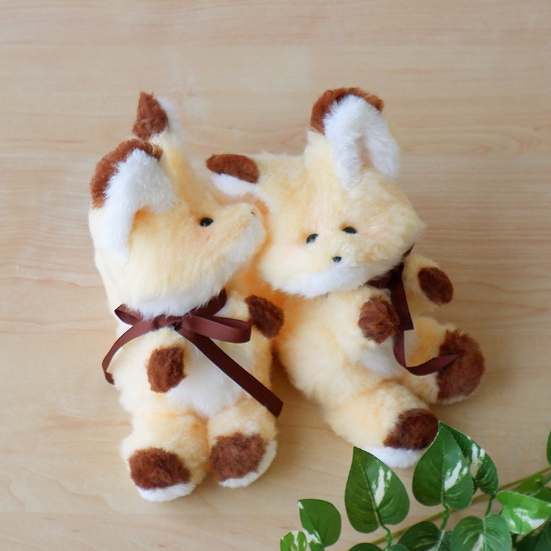 やんちゃきつねさん