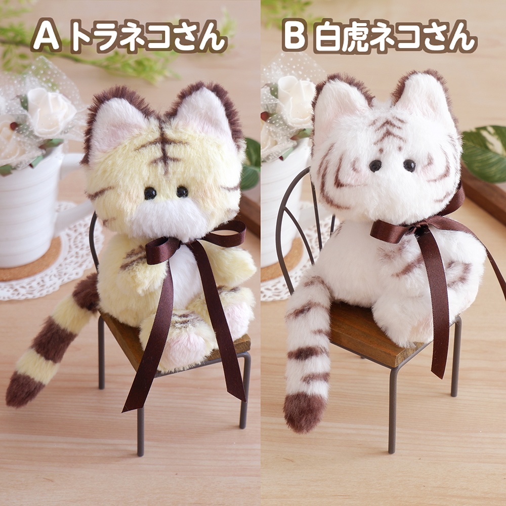 A トラネコさん、B 白虎ネコさん