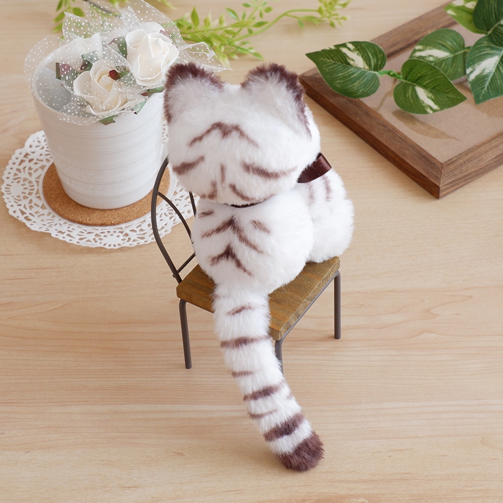 A トラネコさん、B 白虎ネコさん