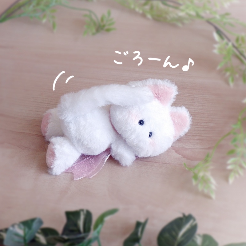 おすわり猫さん