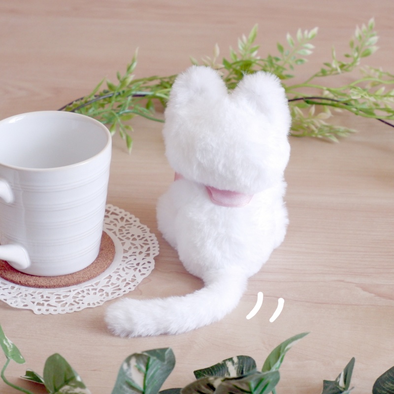 おすわり猫さん