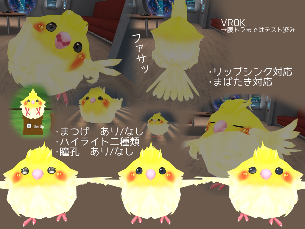 オカメインコもどき