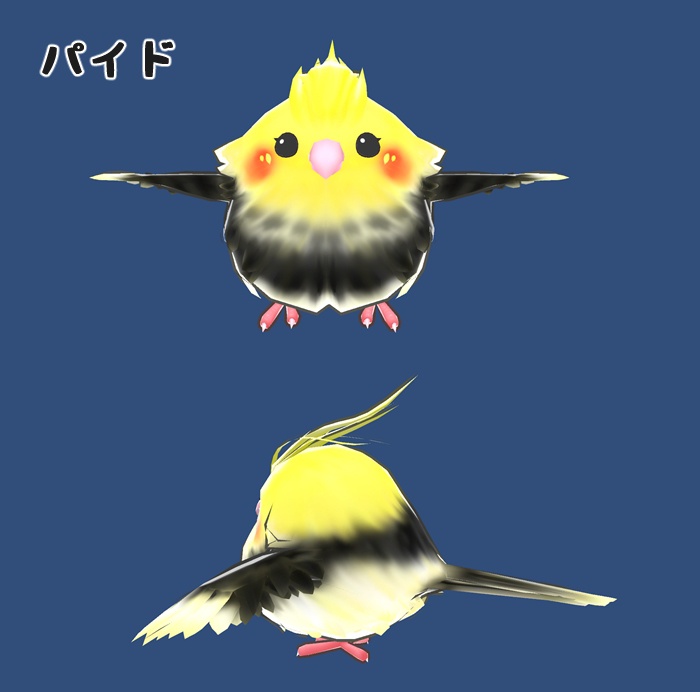 オカメインコもどき