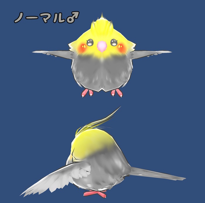 オカメインコもどき