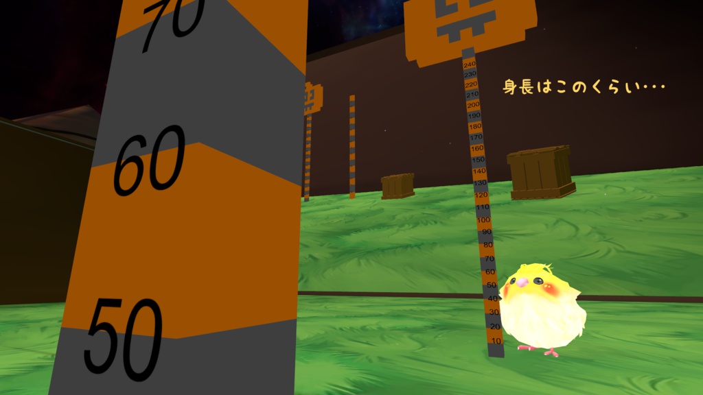 オカメインコもどき