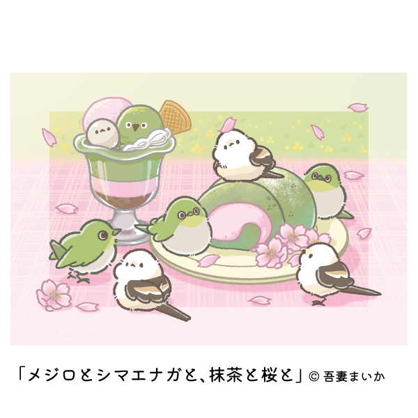 吾妻まいか ポストカード 春夏秋冬セット(おまけ付き)
