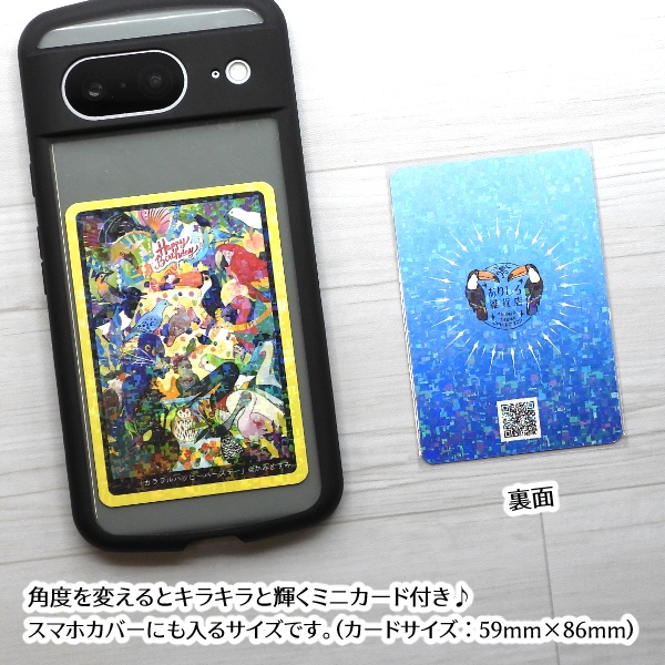 かみとすみ ポストカード 春夏秋冬セット(おまけ付き)