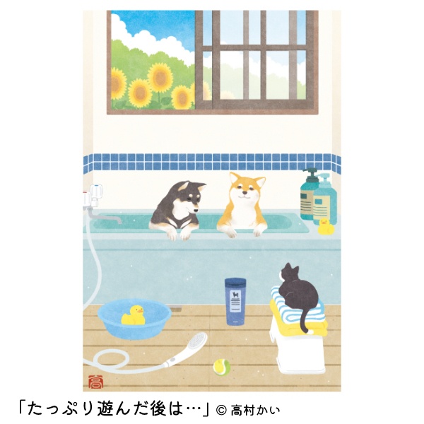 高村かい コラボ ポストカード(単品)