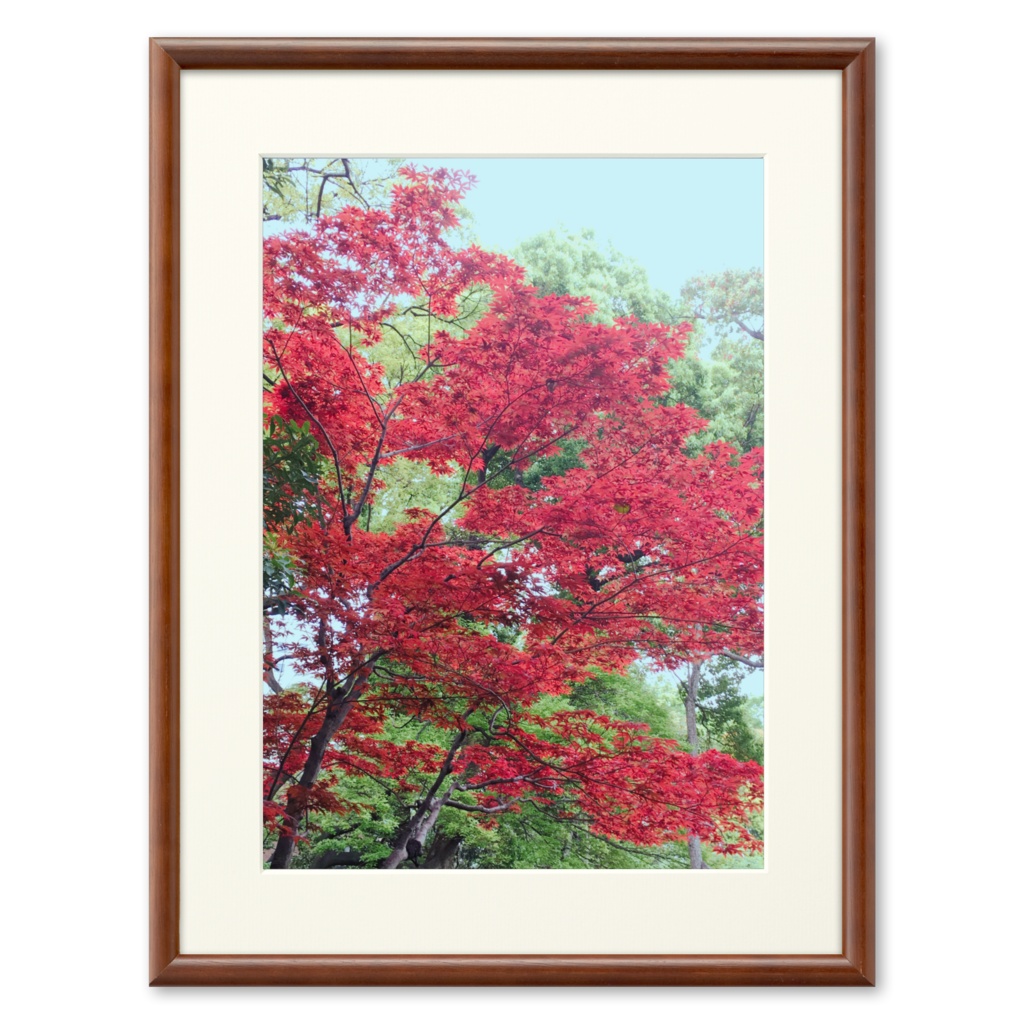 複製画(プリモアート)(banao)