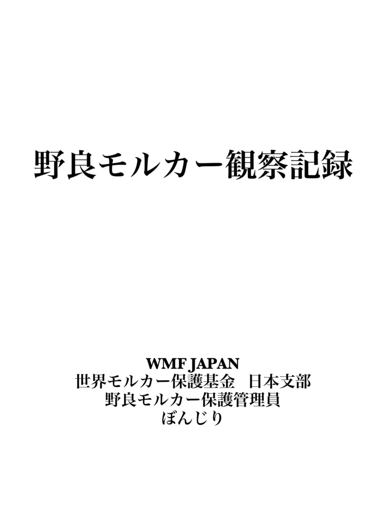 野良モルカー観察記録