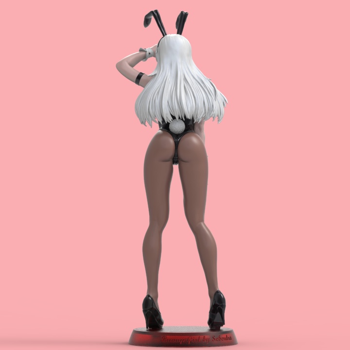 Sexy Bunny Girl STL for 3Dprint