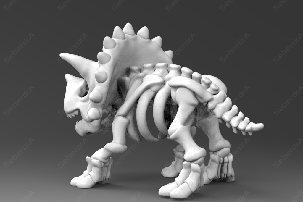 Cute Triceratops Skeleton 3D model for 3D Print