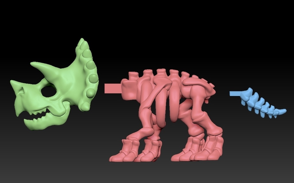 Cute Triceratops Skeleton 3D model for 3D Print