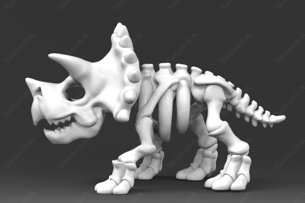 Cute Triceratops Skeleton 3D model for 3D Print