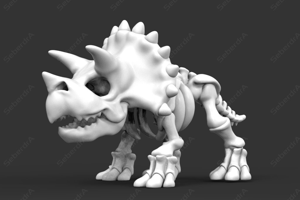 Cute Triceratops Skeleton 3D model for 3D Print