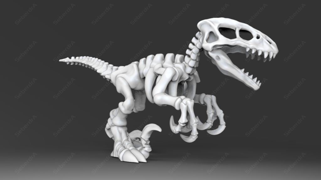 3D model of Raptor Skeleton STL for 3D print