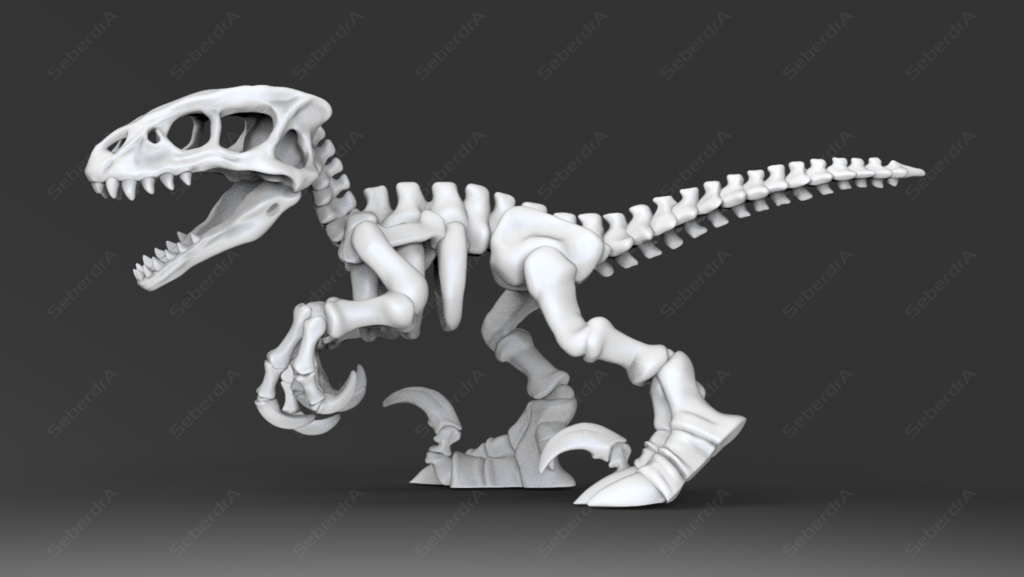 3D model of Raptor Skeleton STL for 3D print