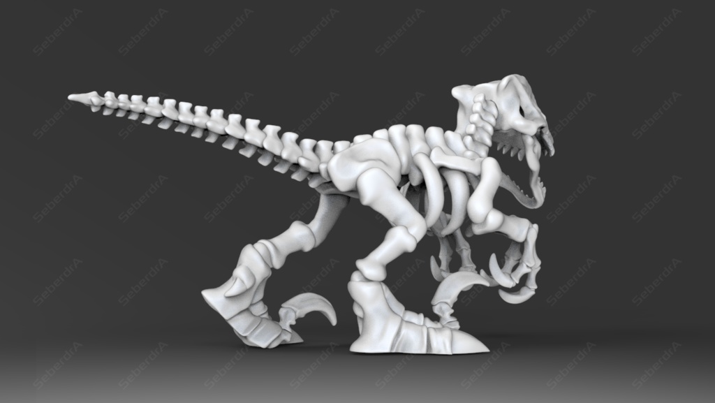 3D model of Raptor Skeleton STL for 3D print