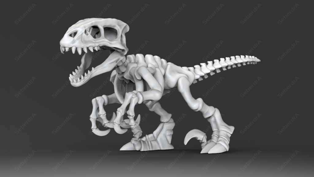 3D model of Raptor Skeleton STL for 3D print
