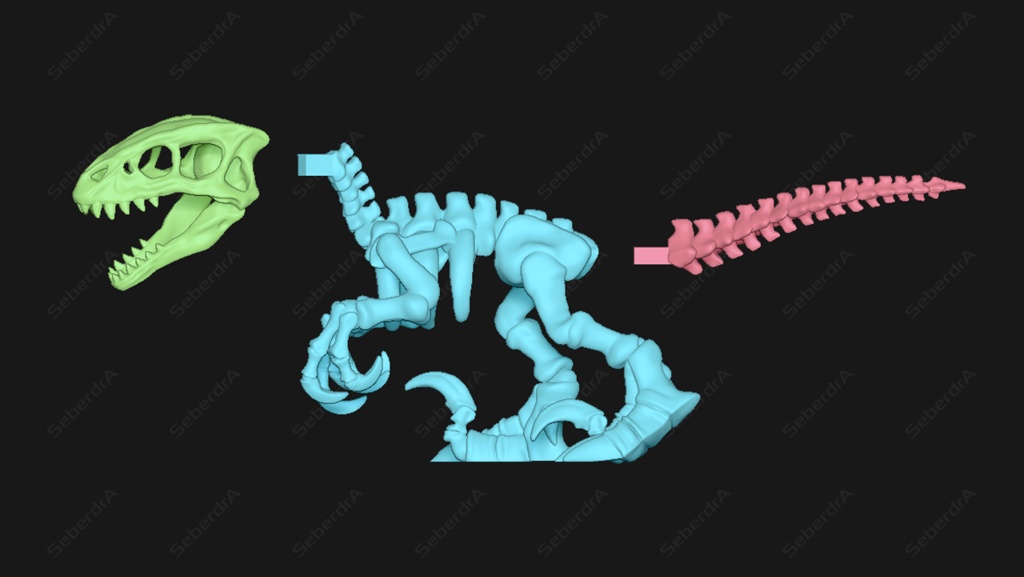 3D model of Raptor Skeleton STL for 3D print