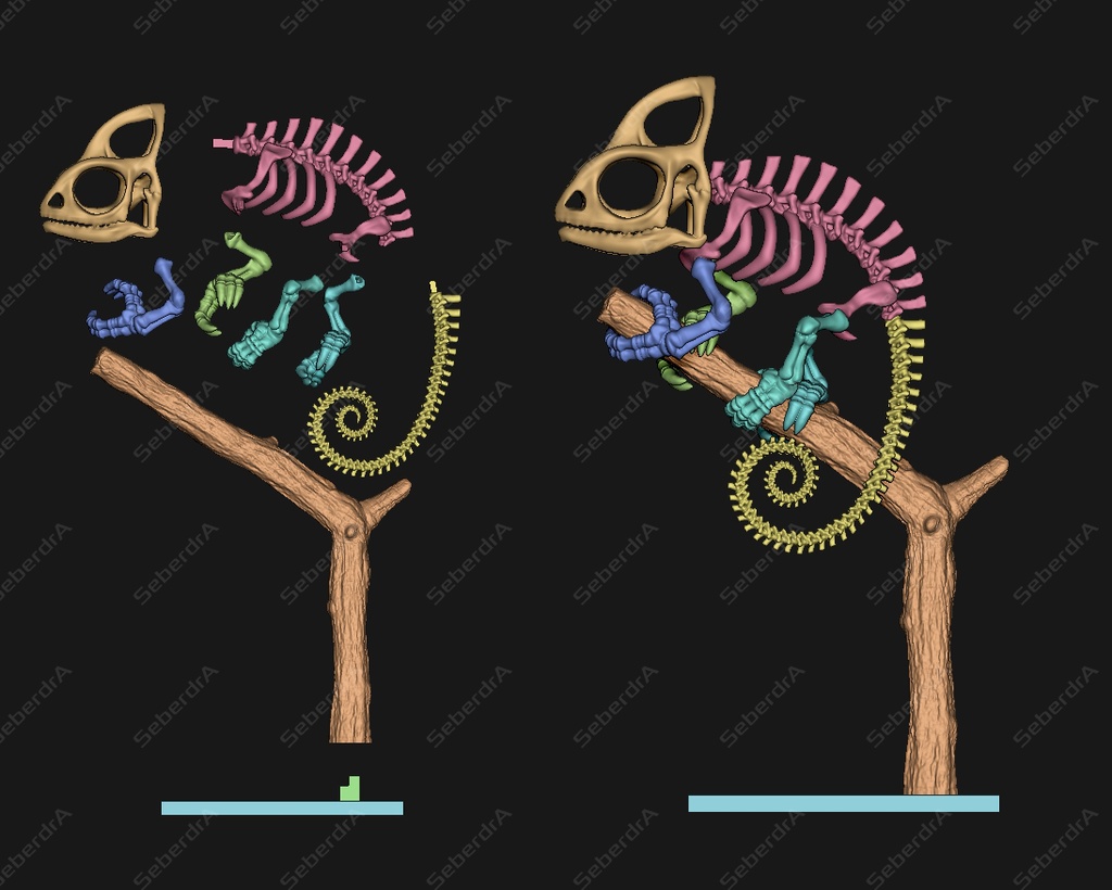 Cameleon Skeleton STL for 3D Print