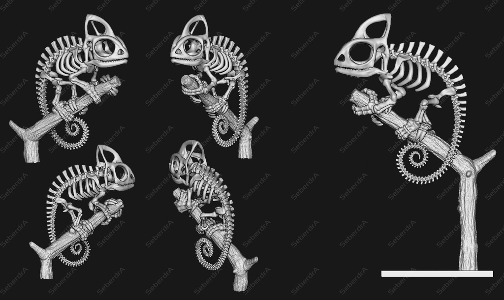 Cameleon Skeleton STL for 3D Print