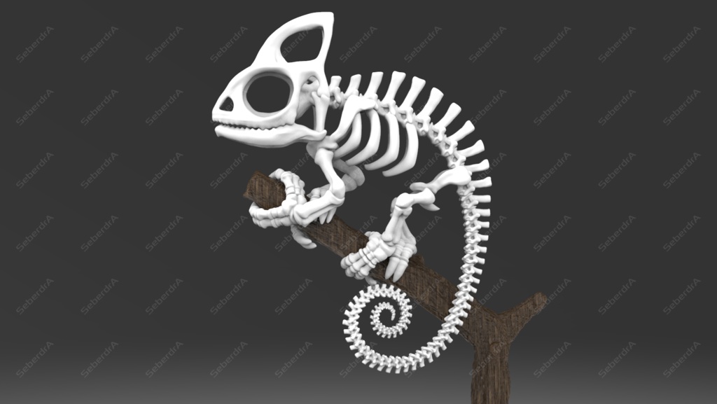 Cameleon Skeleton STL for 3D Print