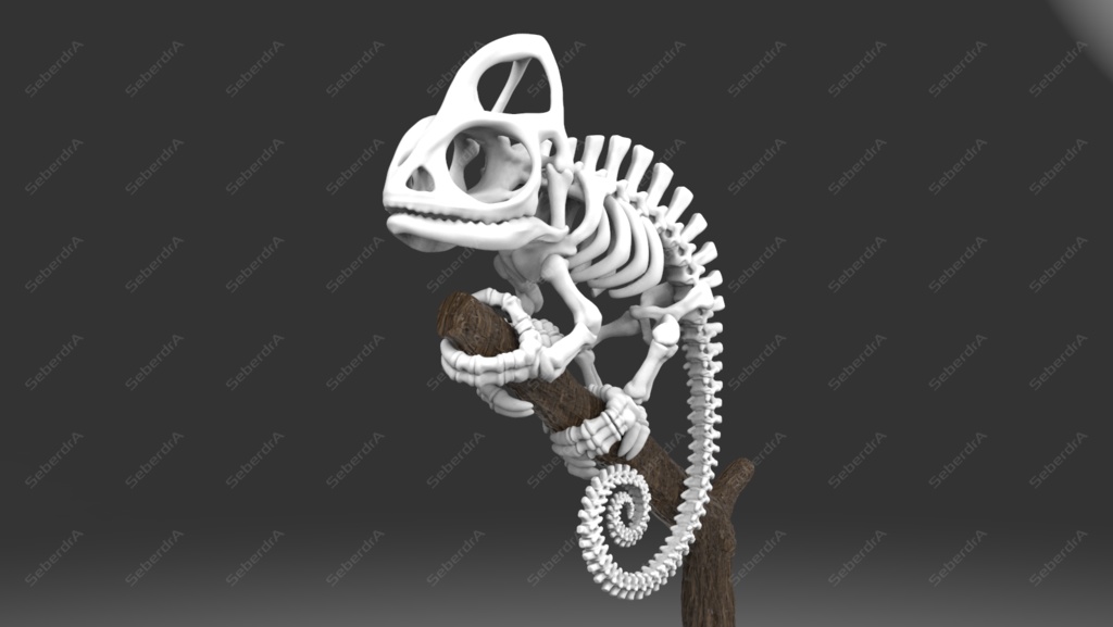 Cameleon Skeleton STL for 3D Print