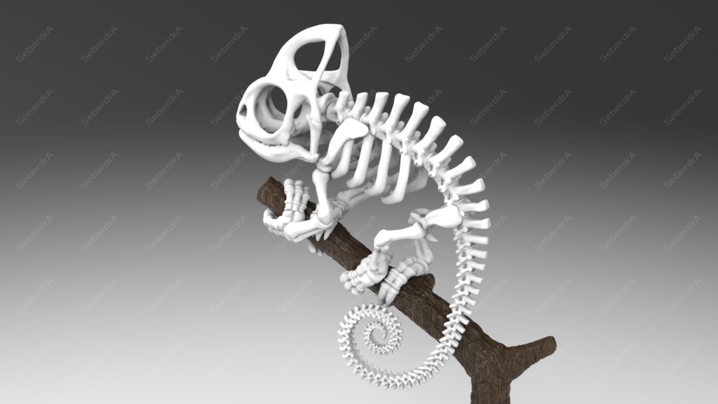 Cameleon Skeleton STL for 3D Print