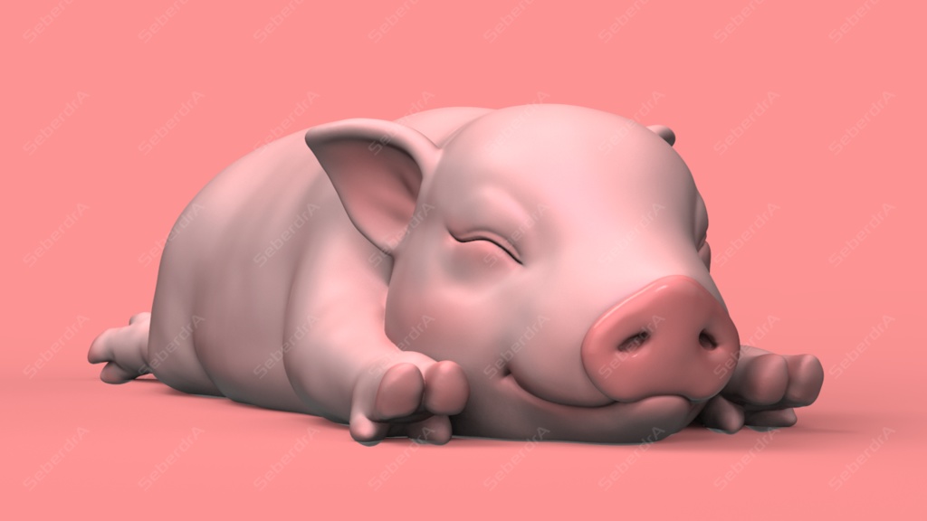 Cute Sleepy Piglet - 子豚