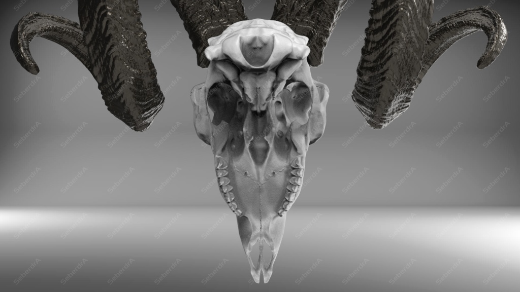 Goat Skull V1 STL for 3Dprint