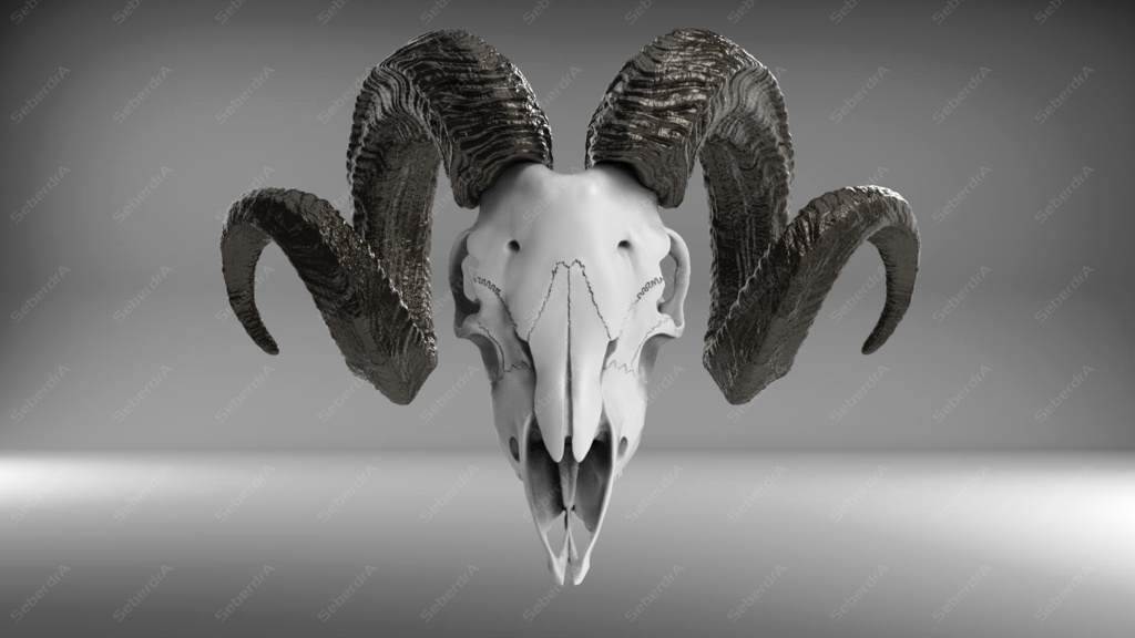 Goat Skull V1 STL for 3Dprint