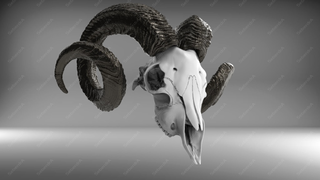 Goat Skull V1 STL for 3Dprint