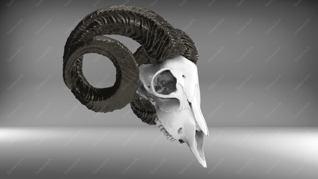 Goat Skull V1 STL for 3Dprint