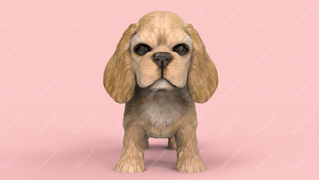 Cute Puppy American Cocker Spaniel STL and VRML
