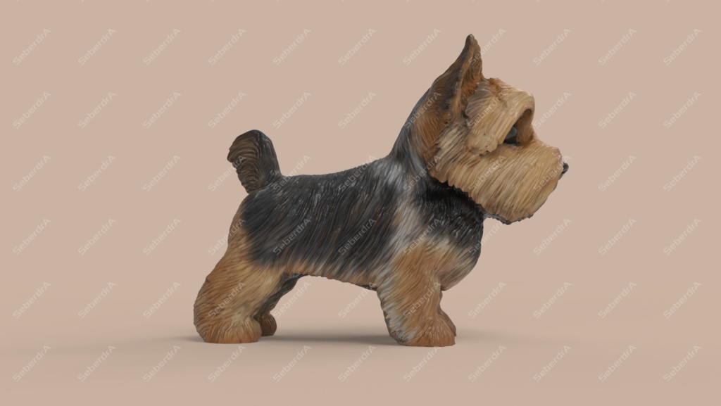 Cute Puppy Yorkshire Terrier STL and VRML for 3DPrint