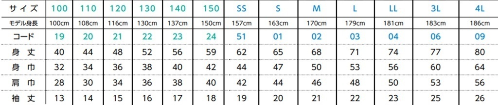 ドライメッシュTシャツ 東方 パチュリー・ノーレッジ 202503 煮こらしか