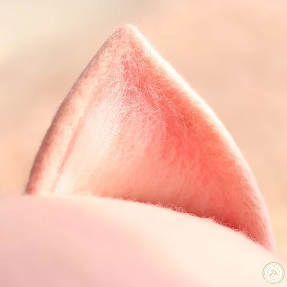 キツネ羊毛ベレー帽