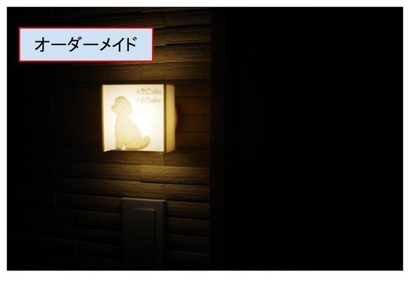 #13 人感センサー 猫