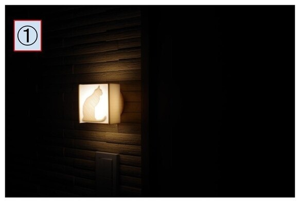 #13 人感センサー 猫