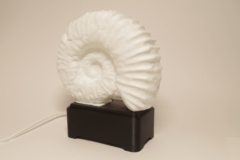 #20 アンモナイトランプ