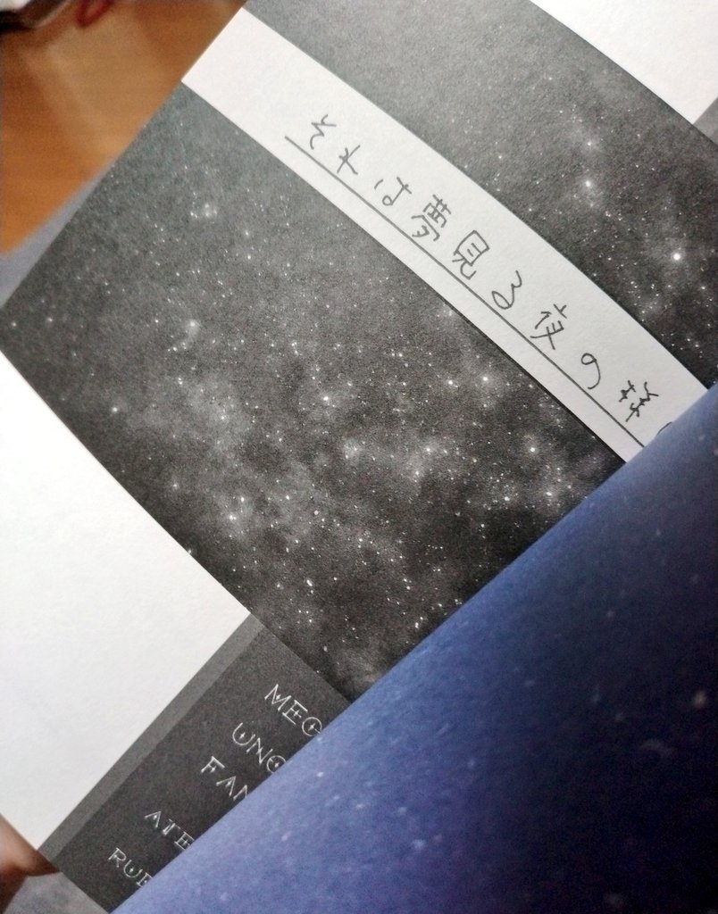 それは夢見る夜のように