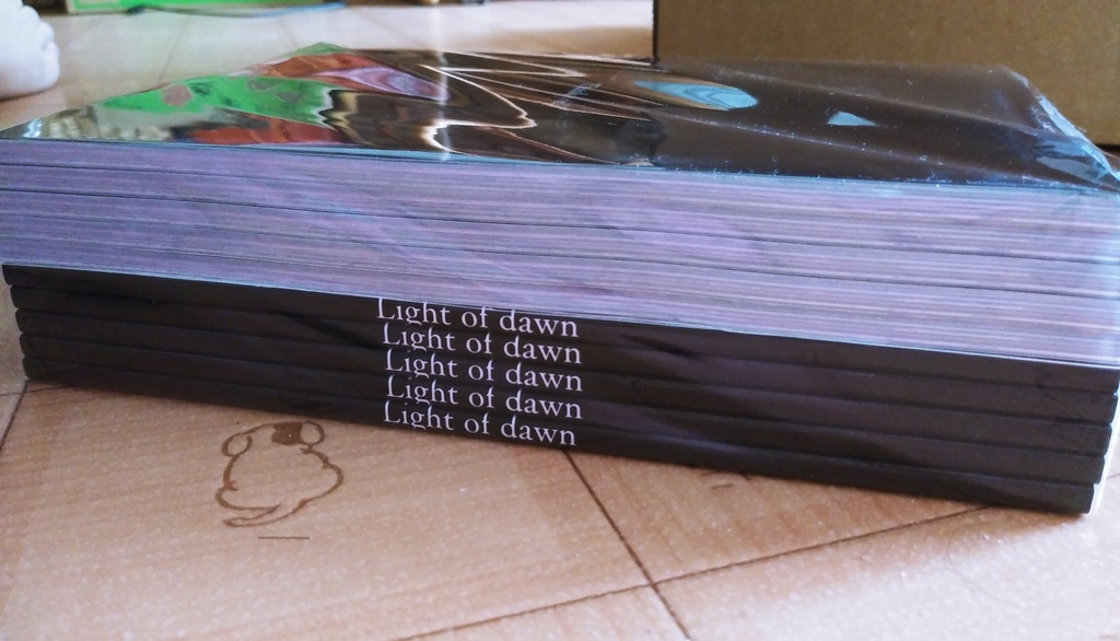 Light of dawn