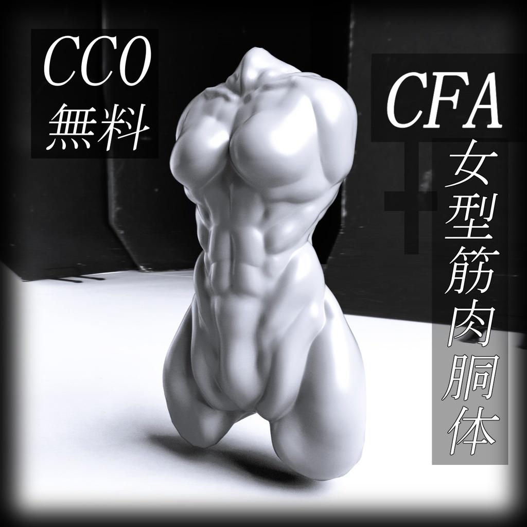 【3Dモデル】Free！　CFA-女型筋肉胴体素体