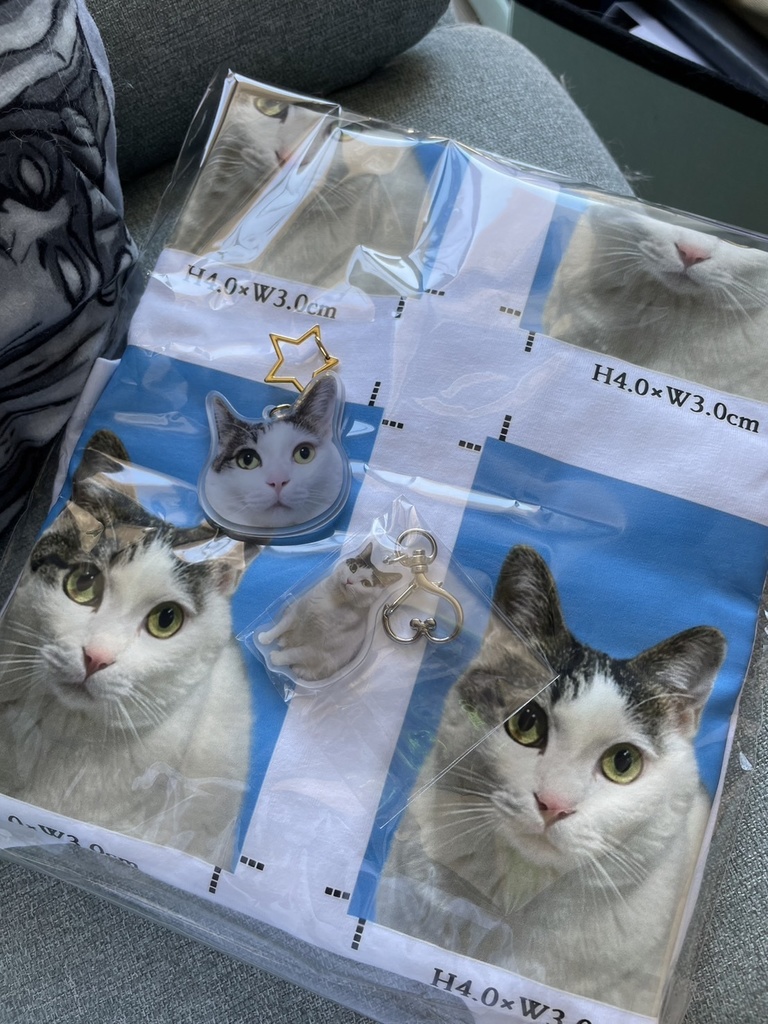 ほむ🐱アクキー